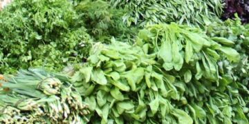 בד”צ העדה”ח: יש מחסור בירקות עלים בשל המצב