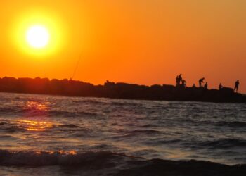 עומס חום צפוי בימים הקרובים – המלצות מד”א