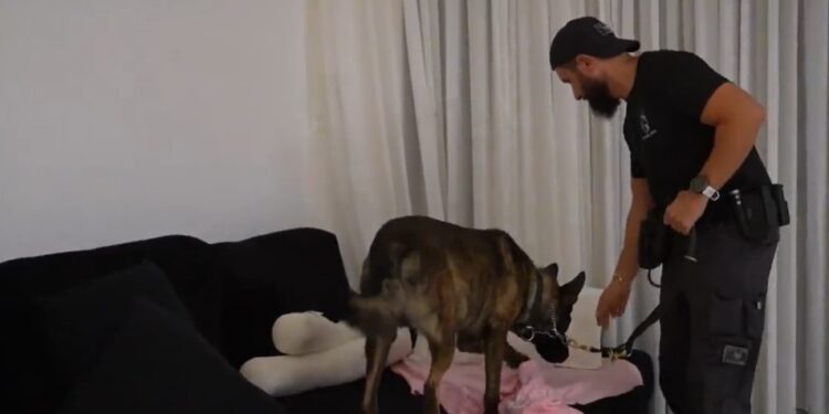 עשרות מעצרים בפרשיית ענק של הברחת סחורות בנמל אשדוד