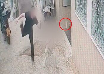 ב”ב: התפרע בקופ”ח זרק אבן ודפק ראשו בקיר