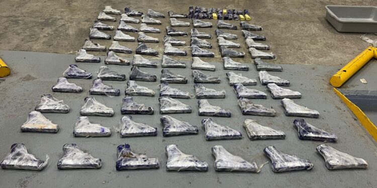 74 אקדחים נתפסו במעבר הגבול עם ירדן בדרכם לישראל