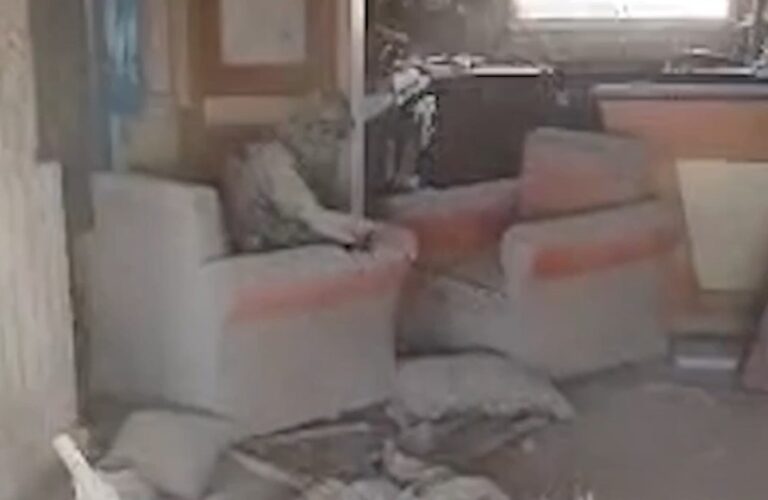 צפו: רגעיו האחרונים של סינוואר - חי כמו עכברוש ומת ככלב