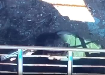 עוד X – חוסל סגן מפקד כוח רדואן של חיזבאללה