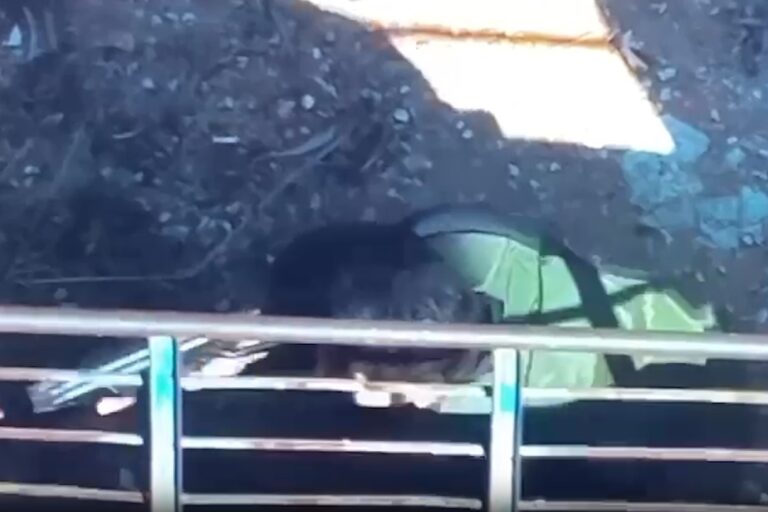 עוד X - חוסל סגן מפקד כוח רדואן של חיזבאללה