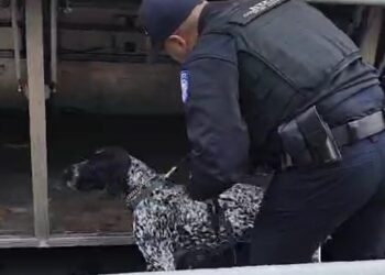 ניו יורק: בדיקות קפדניות סביב כינוס השלוחות של חב”ד