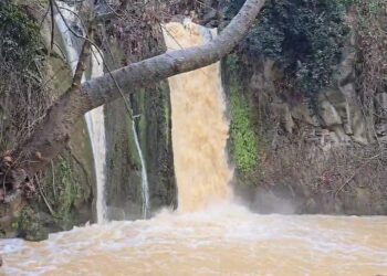 מה רבו: צפו בזרימה החזקה הבוקר בבניאס
