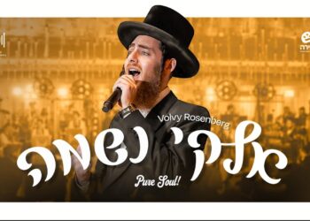 וואלווי רוזנברג במחרוזת ‘אלקי נשמה’ מרגשת