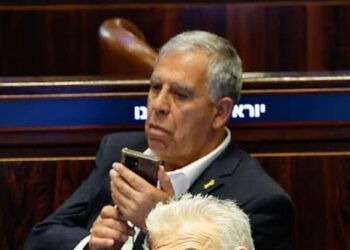 מיקי לוי, הח”כ הטועה