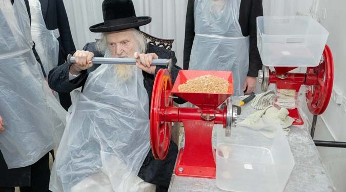 טחינת החיטים במעונו של הגר”מ שטרנבוך לקראת פסח