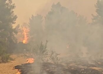 שריפת ענק באזור בית שמש; יישובים באזור פונו