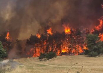 שריפות ענק במוקדים שונים; ישראל מבקשת סיוע מהעולם