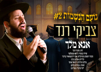 אנא מלך – צביקי רנד בקאבר מרגש לשירו של ליפא שמעלצר