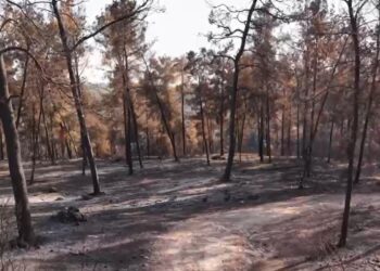 צפו: צילומי הרחפן ממחישים את גודל ההרס