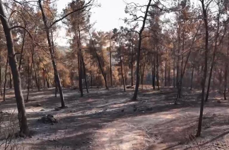צפו: צילומי הרחפן ממחישים את גודל ההרס