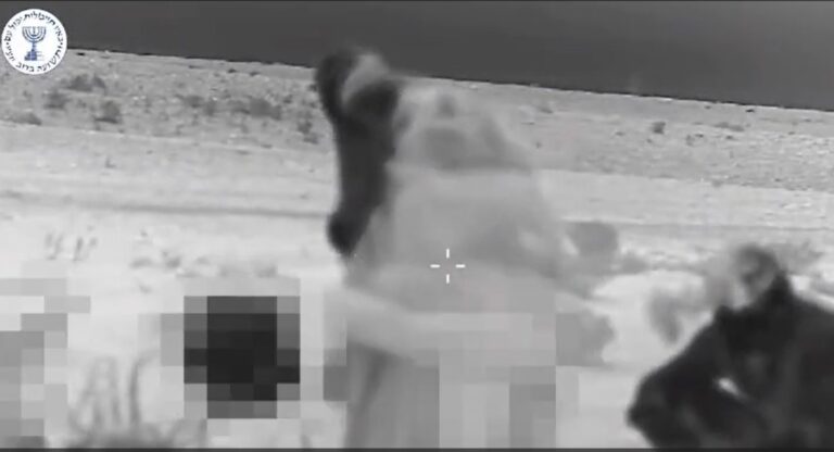 צפו בפעילות המוסד בתוך איראן