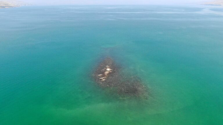 אחרי 5 שנים האי בכנרת הופיע בשל מפלס נמוך