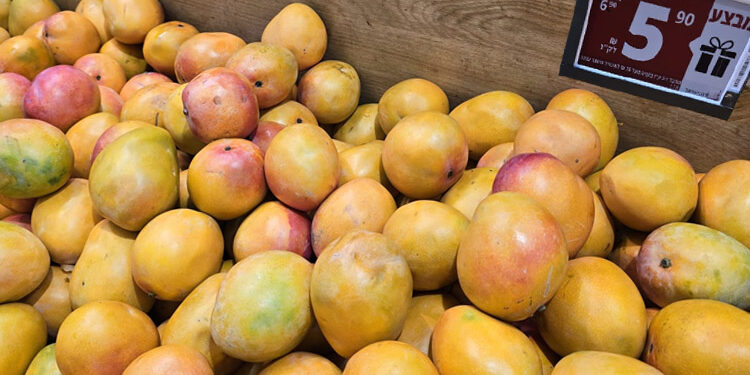 זו הסיבה למה מחירי המנגו השנה נמוכים