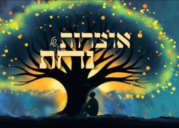 אליסף חפץ עם שיר חדש אוצרות של נחת