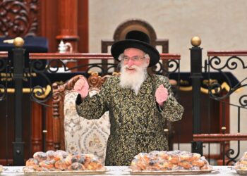 מעמד מרגש לרגל שובו של כ”ק האדמו”ר מויז’ניץ משוויץ