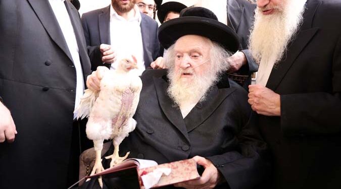 מנהג הכפרות באשמורת הבוקר אצל מרן הגר”מ שטרנבוך שליט”א