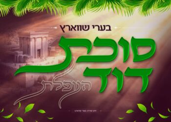 בערי שווארץ בסינגל מרגש