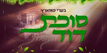 בערי שווארץ בסינגל מרגש