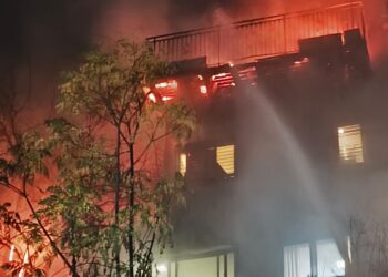 בני ברק: שריפה שהחלה ברחוב התפשטה לעצים ולתוך בניין