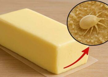 העדה החרדית באזהרה: חשש להימצאות אקריות בחלק ממוצרי החלב