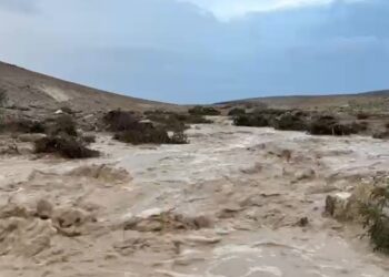 צפו: השטפונות בדרום בעקבות הגשם הרב