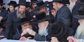 מיליון דולר בהפתעה למוסדות שלא מקבלים תמיכה מהמדינה